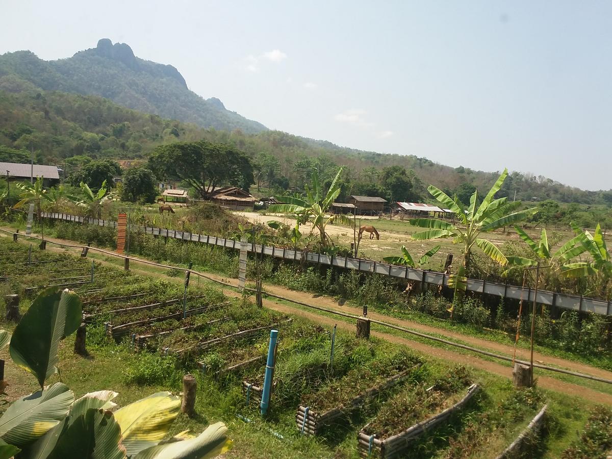 Him Doy Muang Pan Resort ฮิมดอยเมืองปานรีสอร์ท Ban Sop Pan Exterior photo